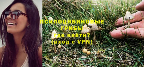 гашик Абаза