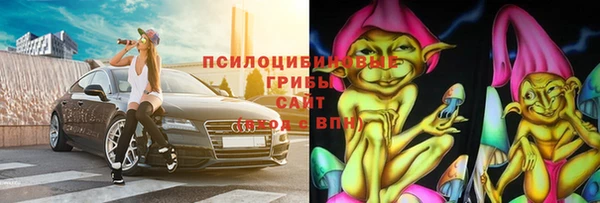 гашик Абаза
