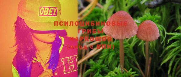 тгк Абдулино