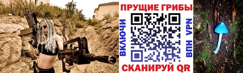 закладки Пошехонье Галлюциногенные грибы мухоморы